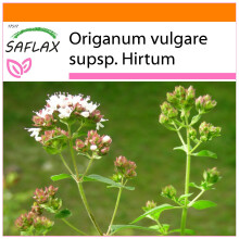 SAFLAX Garden in the bag - Origano greco - 600 semi - Origanum