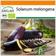 SAFLAX Garden in the bag - BIO - Melanzana - Long Purple - 20 semi - Solanum