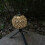 (1) Outdoor Camping Crystal Lampshade - Gold 5