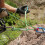 (1) Oxtail Regulator Mountain Climbing Ascending and Descending - Regulator Red 8
