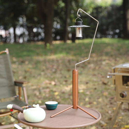 (1) Portable Light Stand - Rose Gold 2