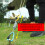 (4) Outdoor high-strength spring tension buckles 7