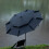 (1) Canopy Camping Umbrella 9