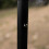 (1) Canopy Camping Umbrella 8