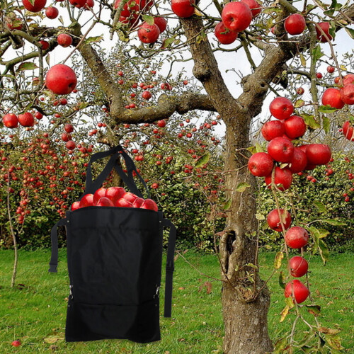 (1) Fruit picking bag 2