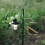 (1) Outdoor mosquito coil rack (khaki) 9