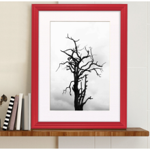 (A4 Pic (A3 Frame)) Red Picture Frame / LW Style Wall Art Frame / Modern Photo Frames With White Mount