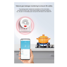 WiFi Smart Gas Leakage Detector Highly Sensitive Combustible Alarm LPG Natural Sensor EU PLUG