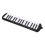 32-Key Melodica Instrument for Beginners, Black, Blue, Pink 11