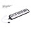 32-Key Melodica Instrument for Beginners, Black, Blue, Pink 1