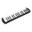 32-Key Melodica Instrument for Beginners, Black, Blue, Pink 6
