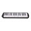 32-Key Melodica Instrument for Beginners, Black, Blue, Pink 14