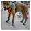 Scarpe per cani 3#, 4#, 5# TPR Caffè Blu Rosso 2