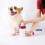 Lave-pattes portable pour chien blanc 14