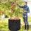 Sac de rangement Fallen Leaf 33 gallons 56x46 cm Noir 7