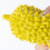 Giocattolo squillante a forma di durian per cani - TPR resistente al morso 6