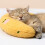 Coussin de cou en forme de U pour chien taille unique velours jaune 3