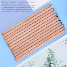Professional 12 Pastel Pencils Wooden Rod for Art & Sketching Projects