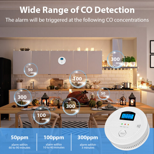 Lot de 2 détecteurs de CO et de fumée LCD, blanc, 10,7  3,8 cm 2