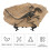 Educational Dinosaur Fossil Skeleton Replica Resin Statue for Office & Learning 6