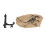 Educational Dinosaur Fossil Skeleton Replica Resin Statue for Office & Learning 9
