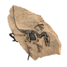 Squelette de dinosaure à haute fidélité 33 19,5 11,5 cm