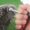 Golf Shoe Spike Remover, Practical Reliable Tool, Spike Replacement, Universal Compatibility With Most Golf Shoes 5