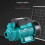 Efficient Solar DC Vortex Pump 200W 35LPM 25m Lift Compact Design 11