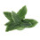 Griffoir pour chat en sisal 38  30 cm vert 3 boules 12