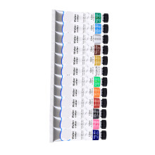 Set di pigmenti per pittura fai-da-te per bambini 12 colori