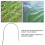 6Pcs Steel Pipe Greenhouse Hoops - Durable Plant Support Frames 6