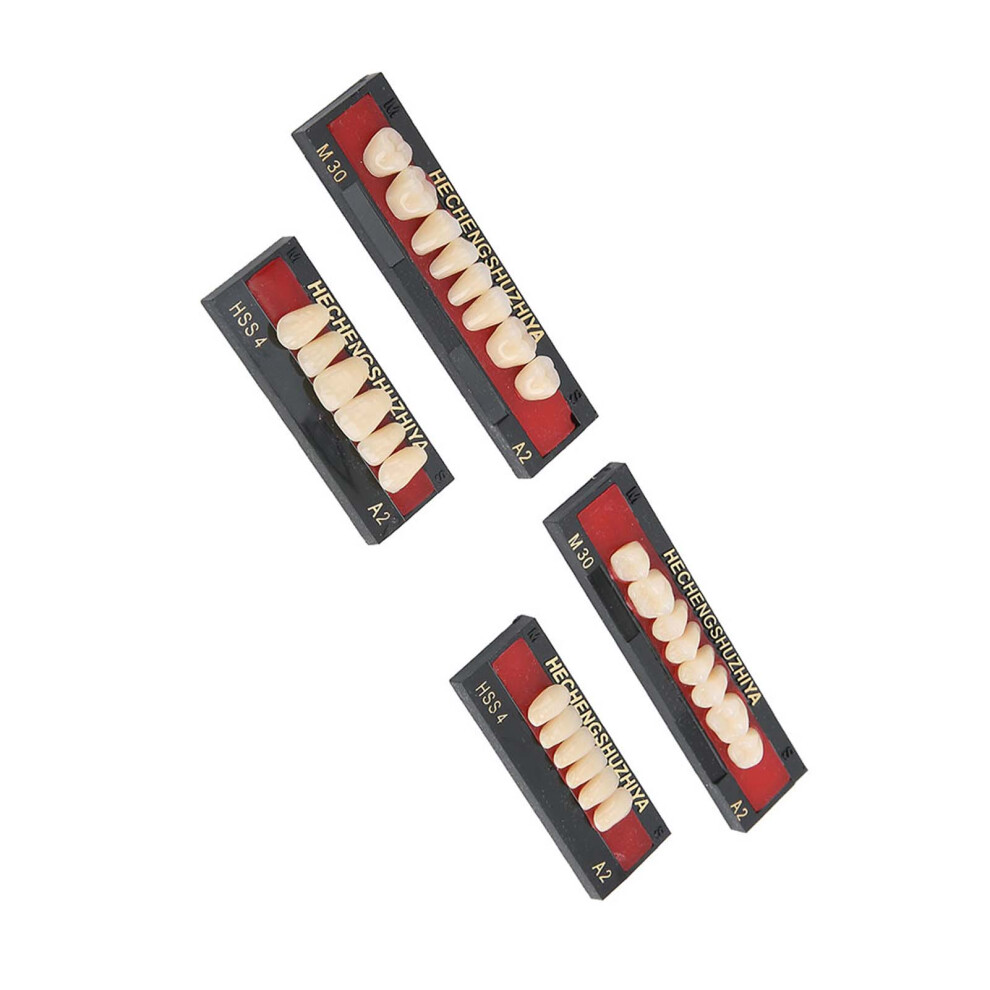 Compact Dental Synthetic Resin Tool for False Teeth Filling and Denture Care