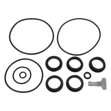 Juego de O-rings de repuesto para la bomba de filtro de arena de PVC