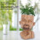 Maceta con rostro 17x11 cm 390 g color café 5
