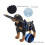 Imbracatura ad anello per cane cieco S blu antincollisione 7