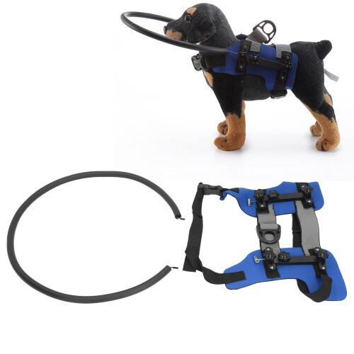 Imbracatura ad anello per cane cieco S blu antincollisione