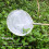 Junior Fly Catching Net with Wood Handle Polyester Iron Frame for Nature Play 5