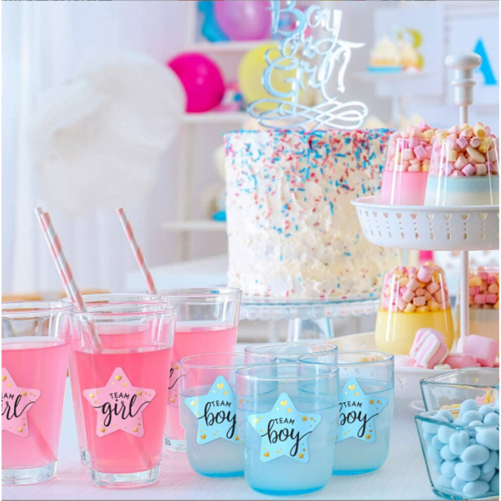 120 Sheets Labels for Gender Reveal Party Stickers Girl and Boy Themes