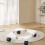 Support de plante sur roulettes avec base réglable pour usage intérieur et extérieur blanc 7