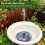 Pompa solare per fontana 7V 150L/H 45cm spray 4