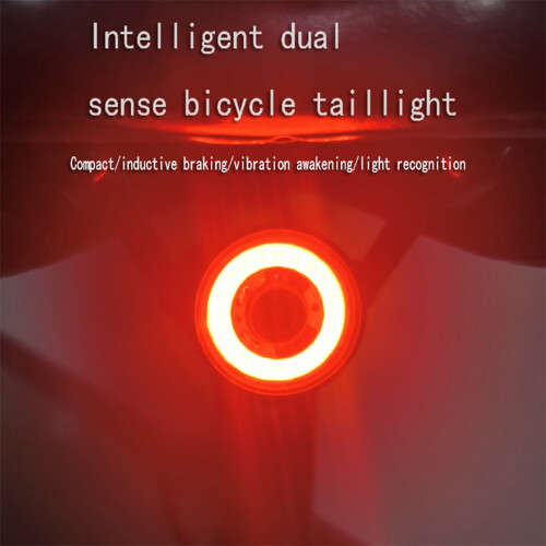 Rücklicht Smart/Normal Version 400mAh 3,142,5cm 2
