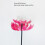 Blumen-Windspinner aus Eisenlegierung Gartenpfahl 8