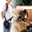 Universal  Double Shoulder Strap for Brush Cutter Adjustable Nylon Belt 5