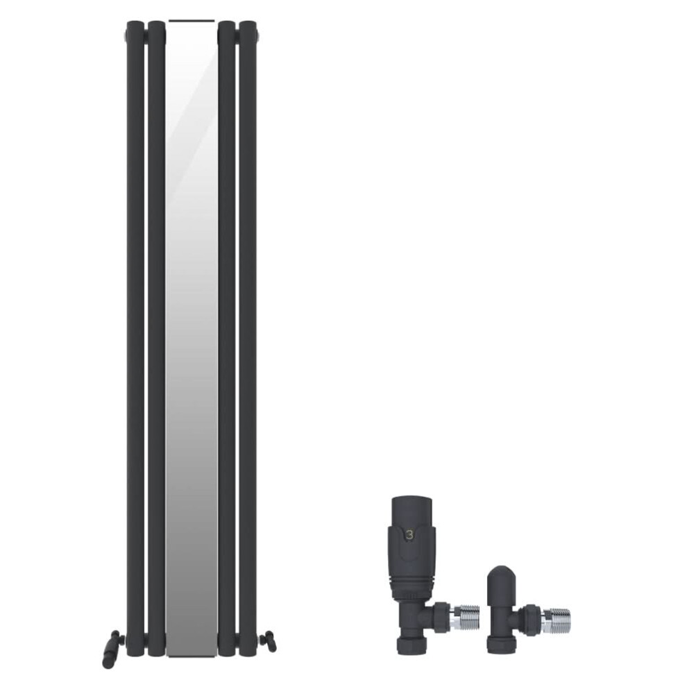 Ibathuk Strata Princia Mirror Radiator, Vertical Single Panel, Angled Valve Included, Designer Radiator, Anthracite, 1800 X 385Mm 5056066438887