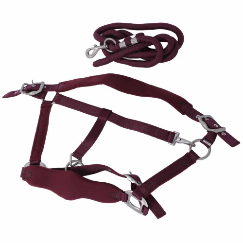 Wine Red Horse Halter Set with 2m Leash, Adjustable Training Gear