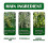 Green Prickly Ash Spray Environmental Mite Remover for Bed Sofa 3