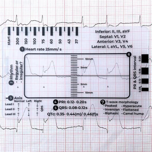 3pc ECG 7 Step Ruler,ECG 7 Step Ruler for ECG/EKG Interpretation, 2