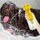 Shampoo Foamer for Dogs Bathing B 3