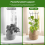 4 peças de treliça de jardim, suporte para plantas de 16 polegadas com 40 amarras, 4