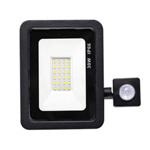 Security Lights Outdoor Motion Sensor Led Pir Floodlight 30W 2